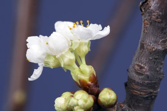 Newsletter vom Februar