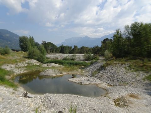 Festival der Natur – Führungen durch Kiesgruben