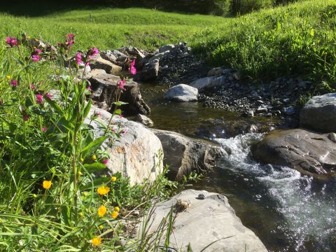 Noch mehr Natur im Muotathal