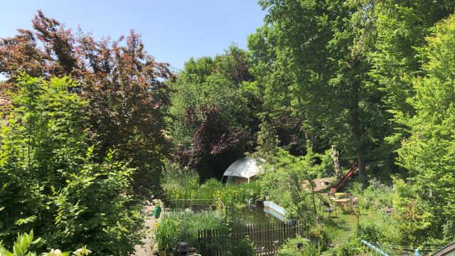 Newsletter Juni