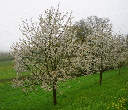 Newsletter vom April