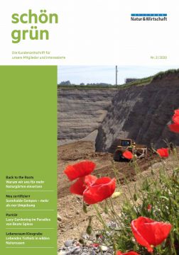 Neue Ausgabe schön grün