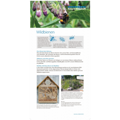 Infotafel «Wildbienen»