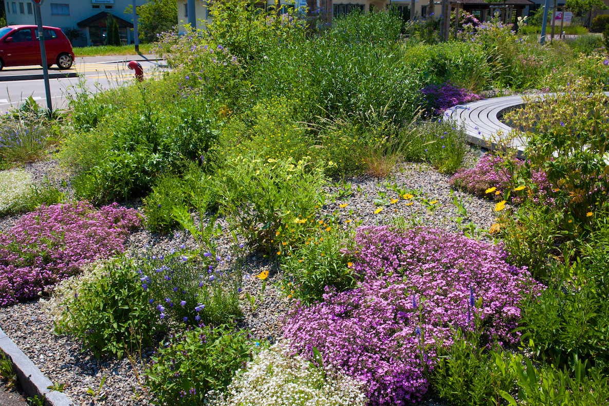 Franken, Freude, Blumenwiese
