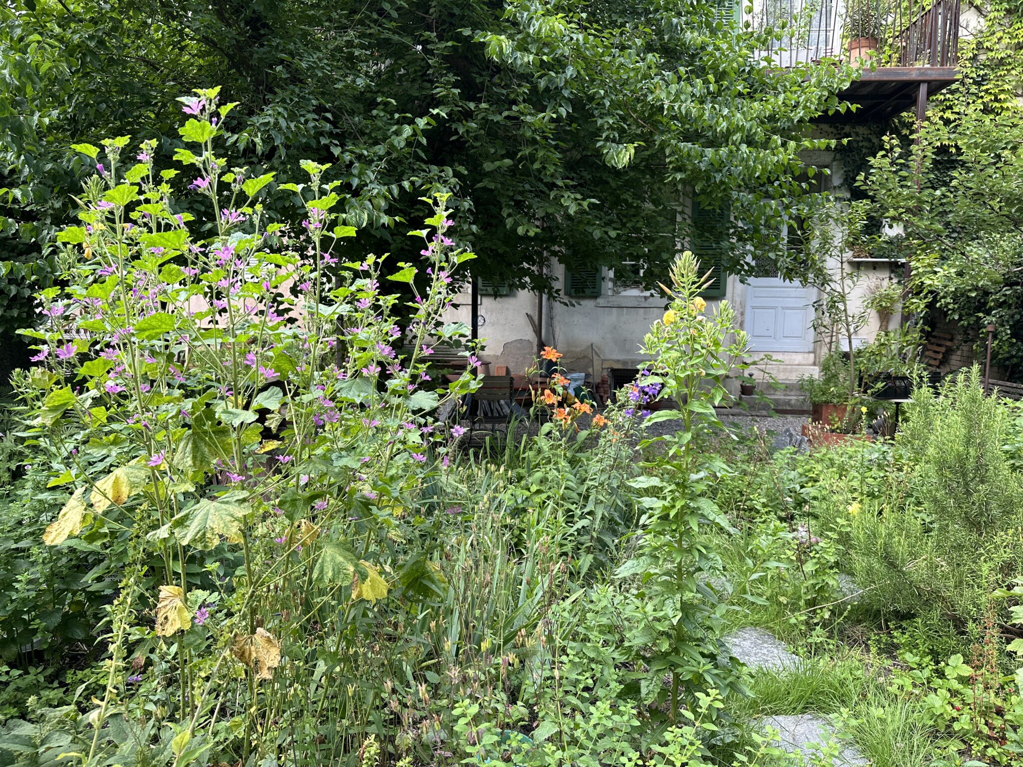 Ökologische Aufwertung von Gärten in Basel